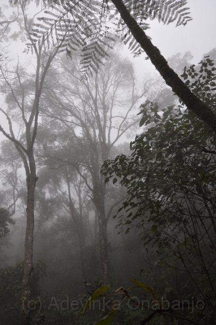 23 - The mountains around Phongsali.jpg